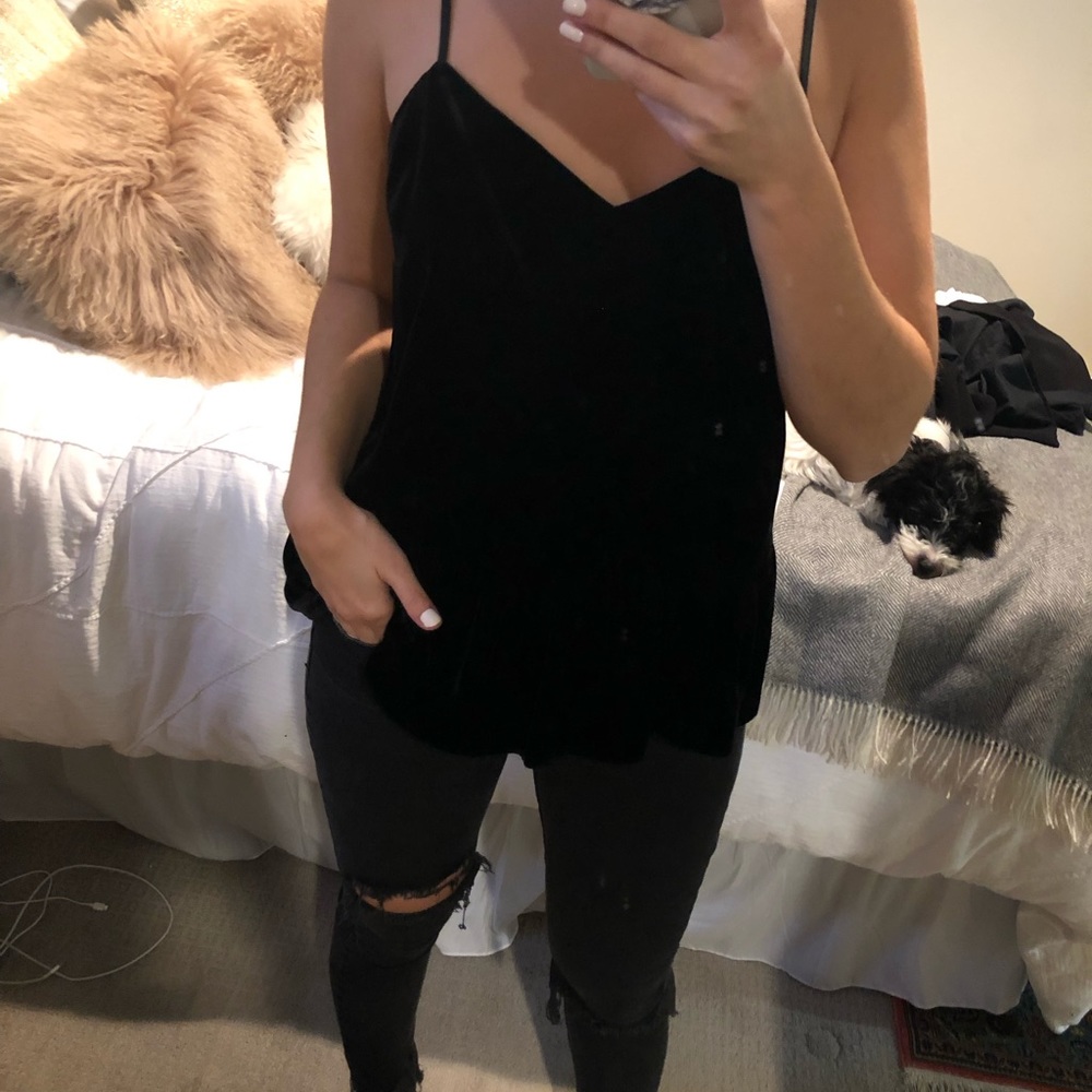 Velvet j crew top
